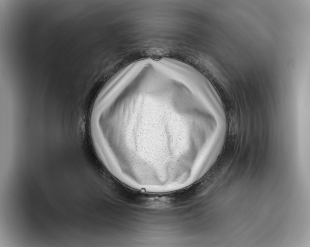 X0000095960363200802011126