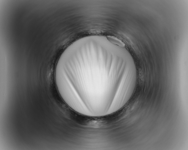 X0000095960364200802011126