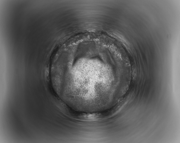 X0000095960365200802011126