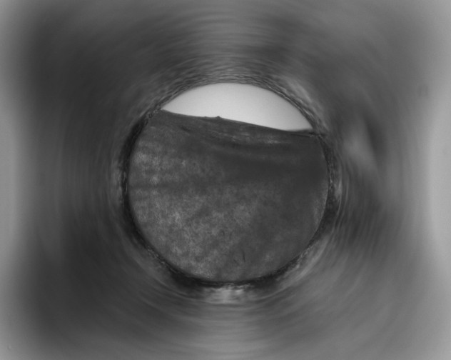 X0000095960366200802011126