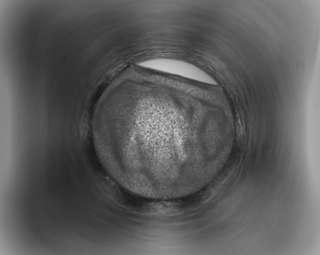 X0000095960367200802011126