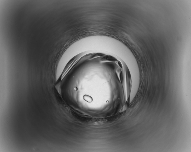 X0000095960368200802011126