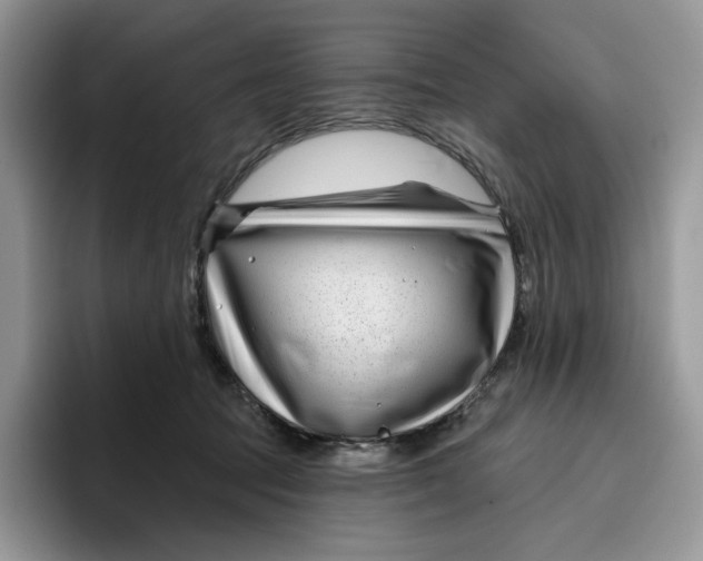 X0000095960369200802011127