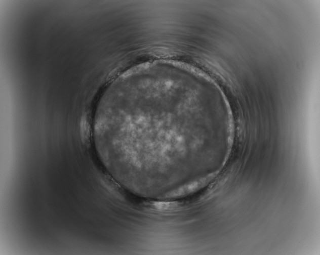 X0000095960371200802011127