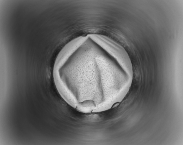 X0000095960374200802011127