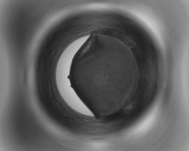 X0000095960382200802011127