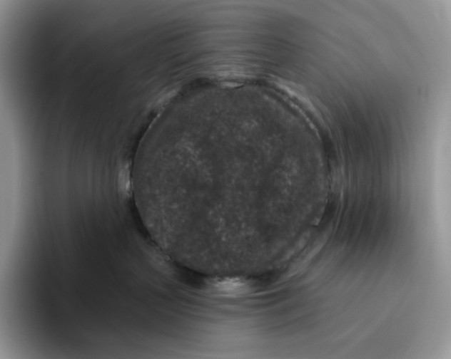 X0000095960383200802011127