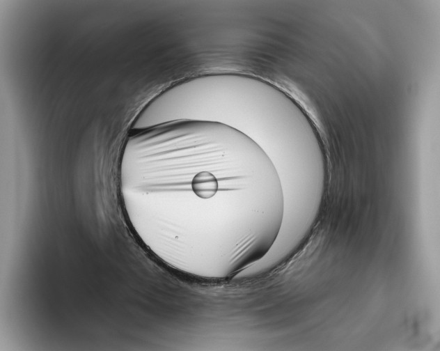 X0000095960385200802011126