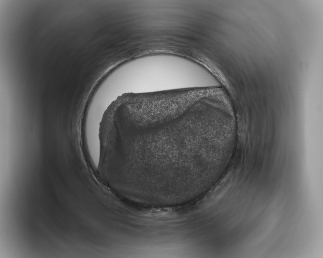 X0000095960386200802011126