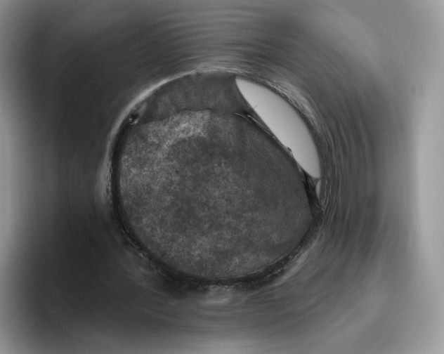 X0000095960388200802011126