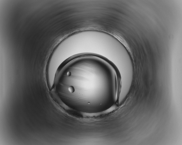 X0000095960389200802011126