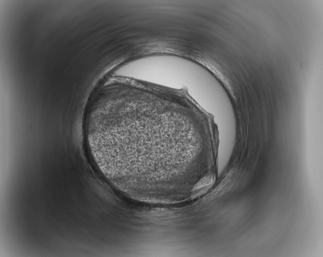 X0000095960390200802011126