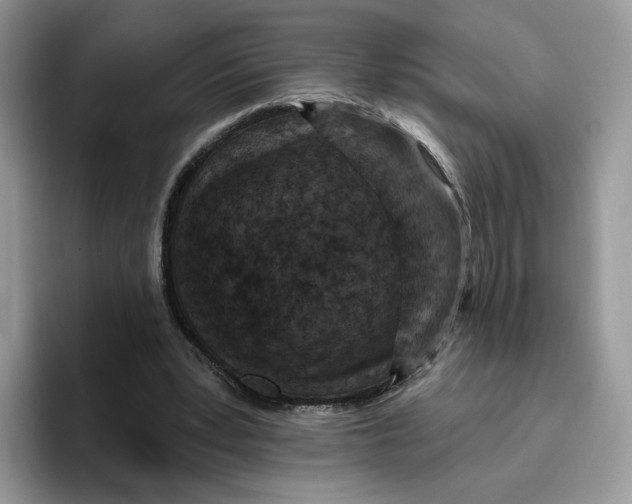 X0000095960391200802011126