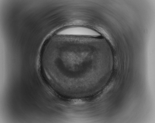 X0000095960392200802011126