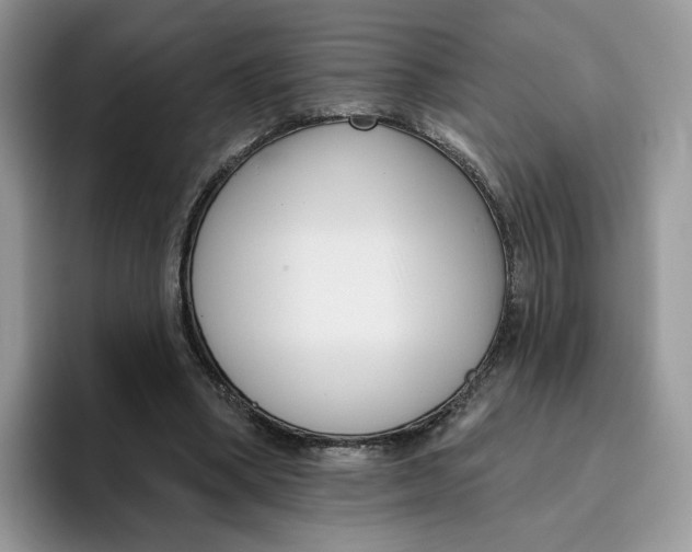 X0000095960394200802011126