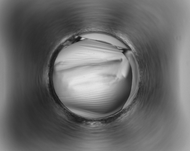 X0000095960395200802011126