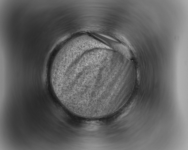 X0000095960396200802011126