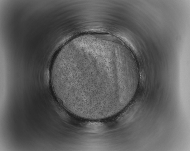 X0000095960397200802011126