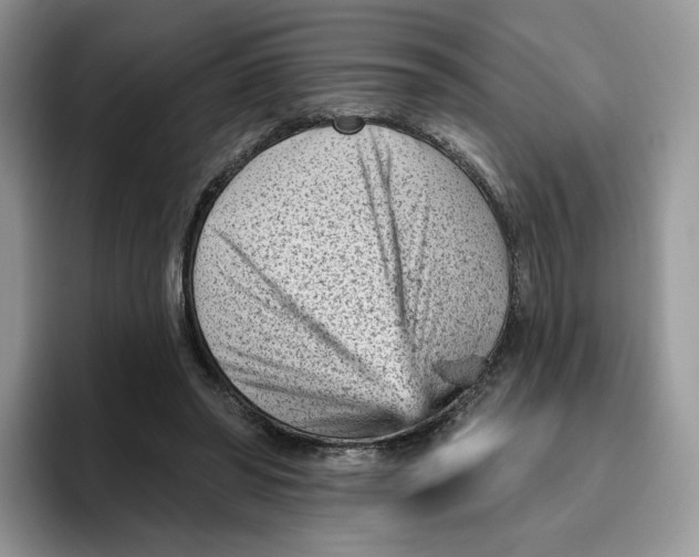 X0000095960398200802011126