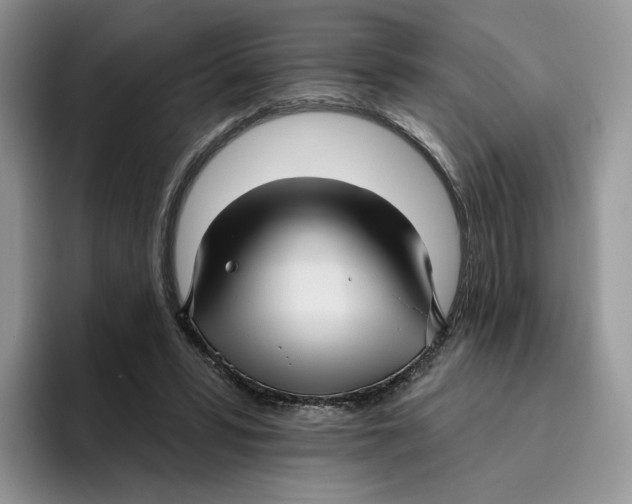 X0000095960399200802011126