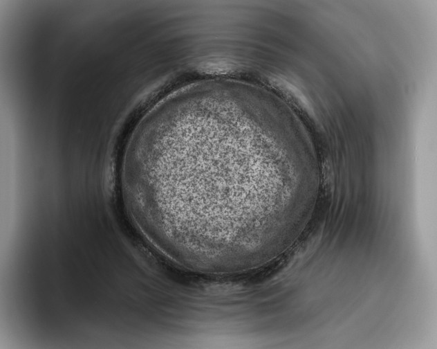 X0000095960400200802011126