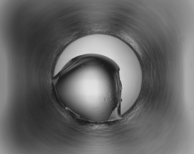 X0000095960401200802011126