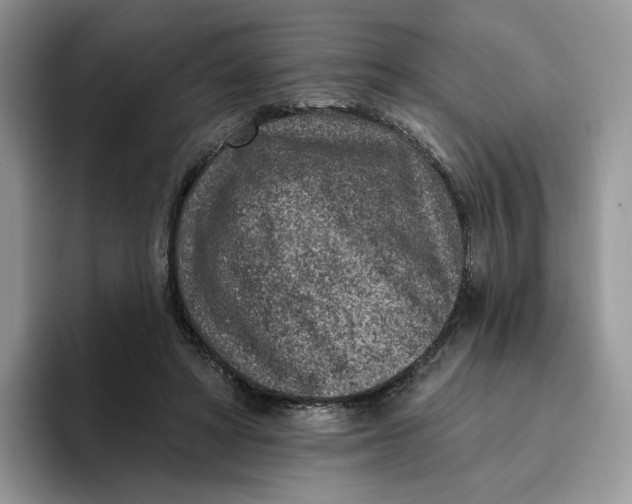 X0000095960402200802011126