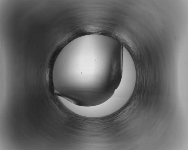 X0000095960404200802011126