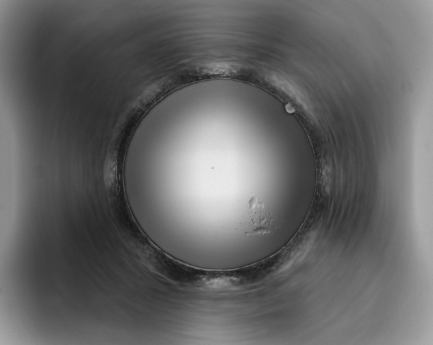 X0000095960407200802011126