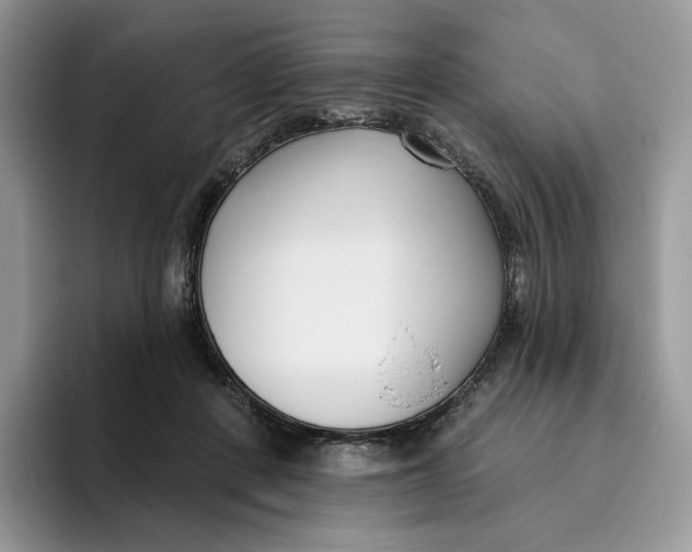 X0000095960408200802011126