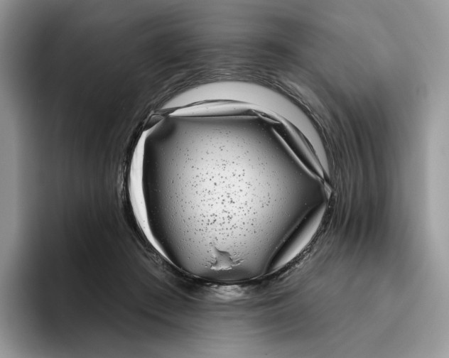 X0000095960409200802011126