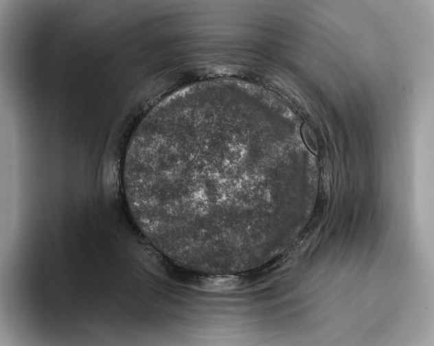 X0000095960410200802011126