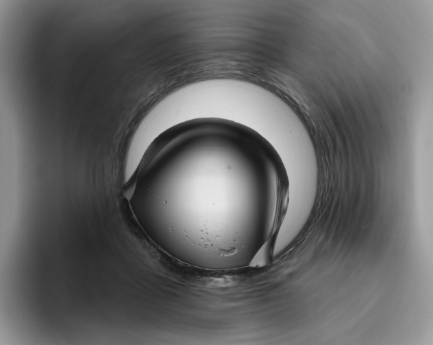 X0000095960411200802011126