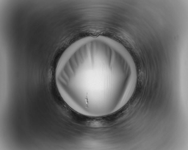 X0000095960412200802011126