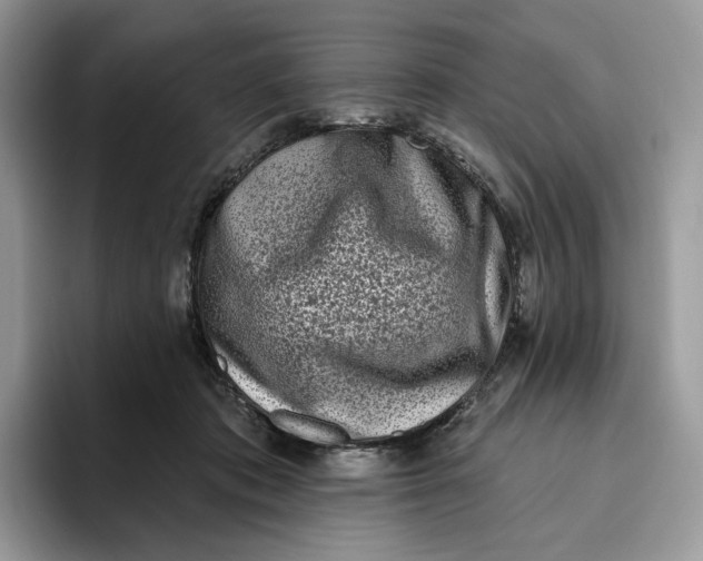 X0000095960413200802011126