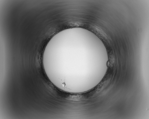 X0000095960414200802011126