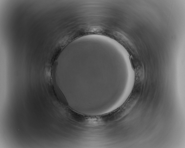 X0000095960415200802011126