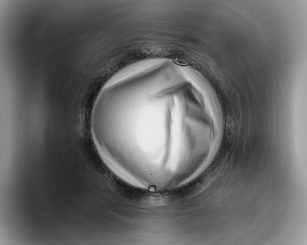 X0000095960416200802011126