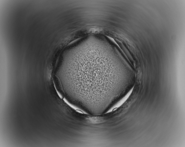 X0000095960417200802011126