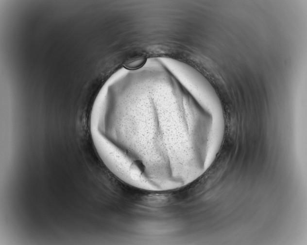 X0000095960418200802011126