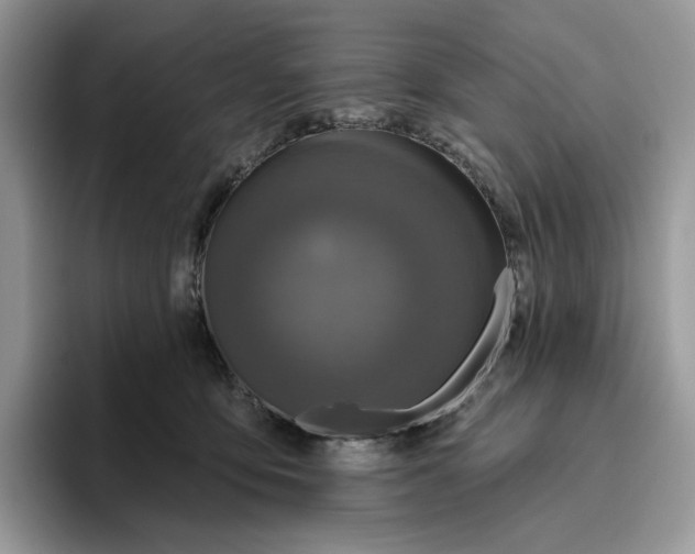 X0000095960419200802011126