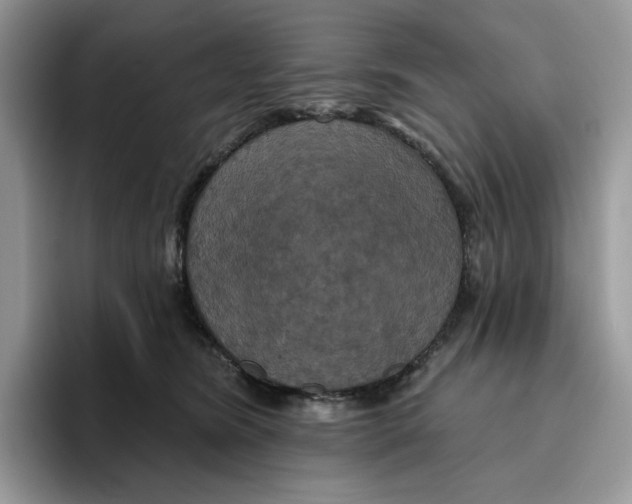 X0000095960420200802011126