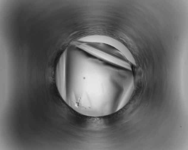 X0000095960421200802011126