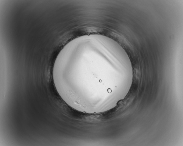 X0000095960422200802011126