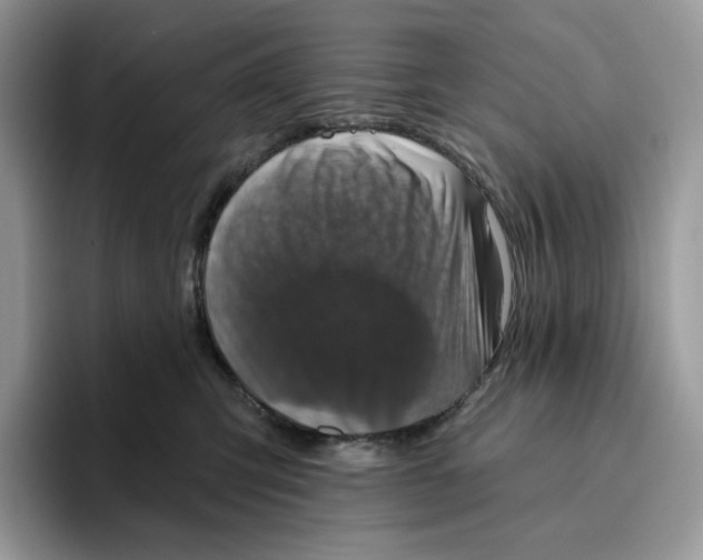 X0000095960423200802011126