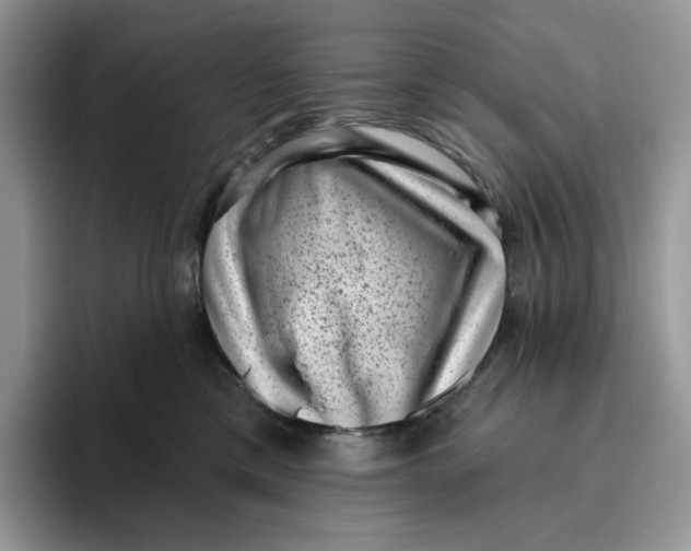 X0000095960425200802011126