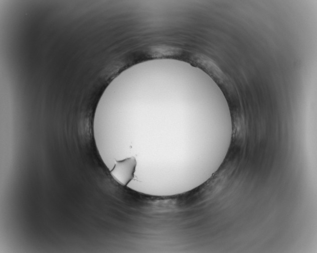 X0000095960426200802011126