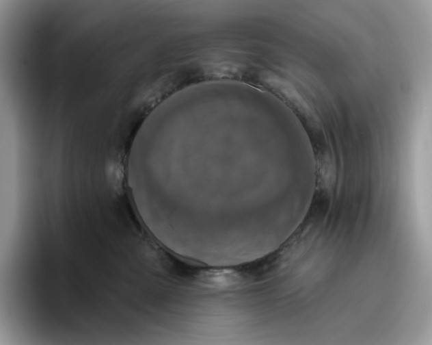 X0000095960427200802011126