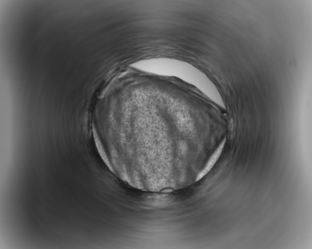 X0000095960428200802011126