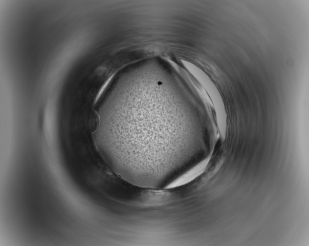 X0000095960429200802011126